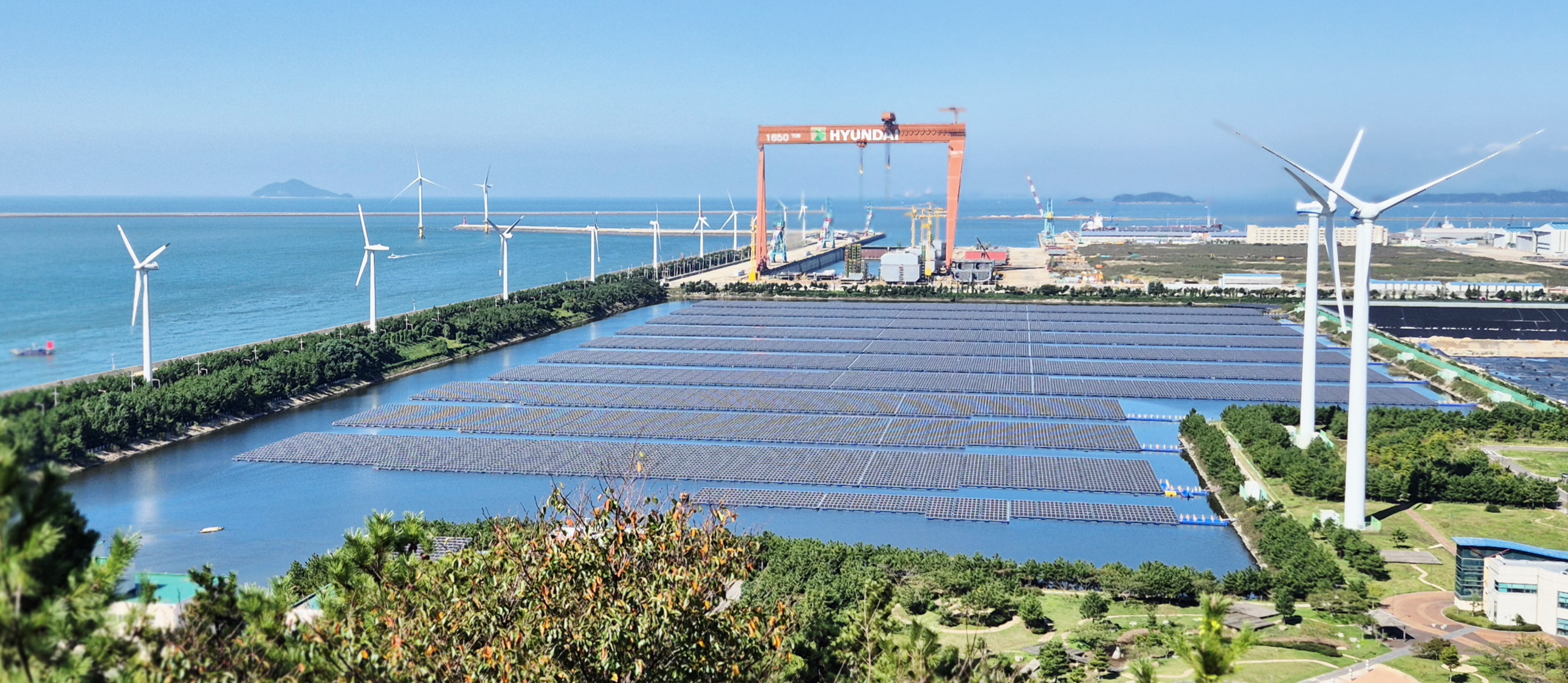 기사 대표 이미지